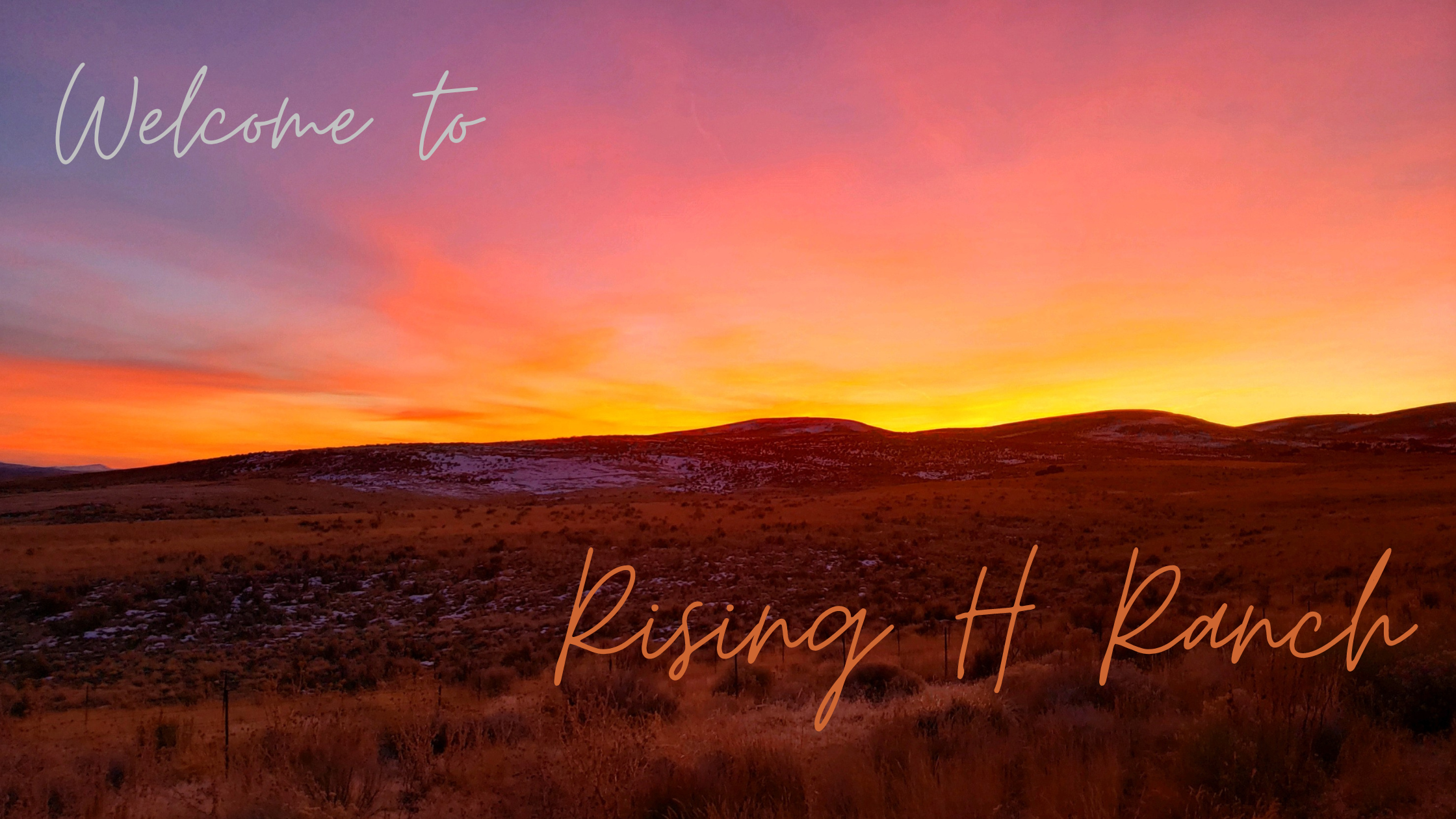 Banner image. Welcome to Rising H Ranch